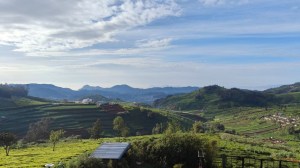 Dodda beta PC-Chandrashekhar