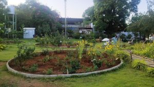 Public Garden Saputara