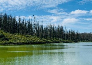 Paikara Lake PC-Rutuja